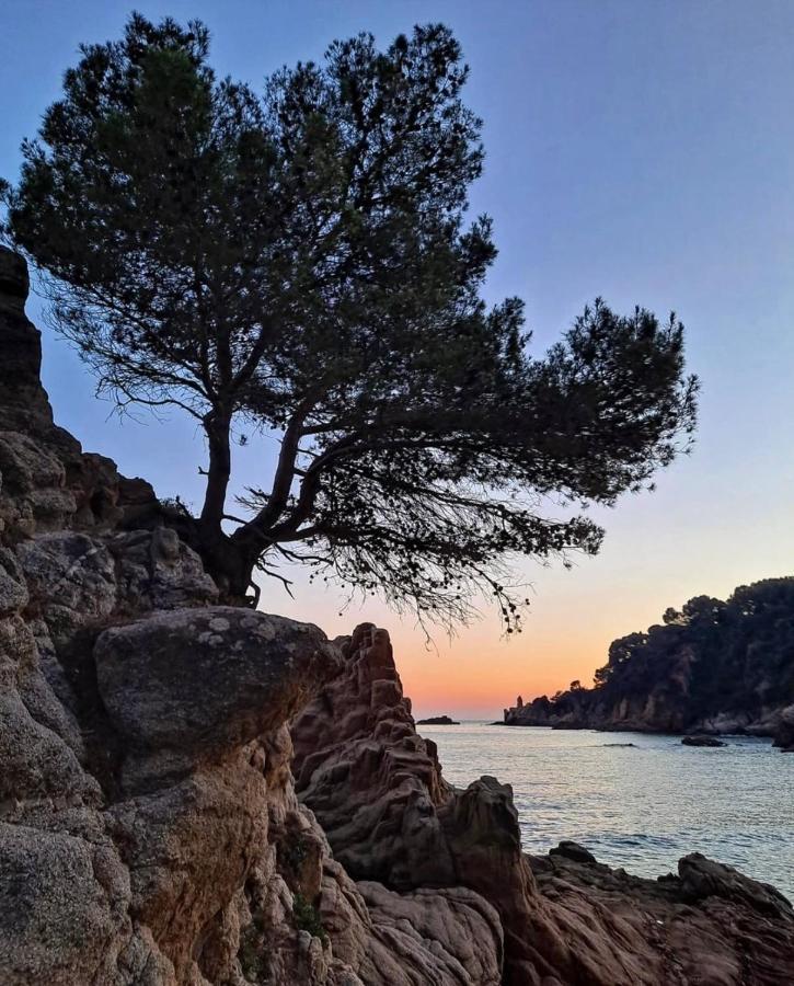 Seahomes Vacations, La Casa Blue Mediterranean Lifestyle Blanes Zewnętrze zdjęcie